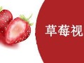 草莓国产视频,探寻本土草莓种植的魅力与风采