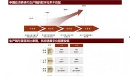 国产29页,揭秘我国科技发展的新篇章