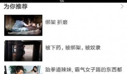 国产视频在线看