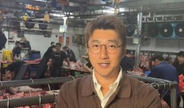 国产老头和老太,岁月流转中的温馨故事