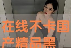 国产黑丝在线 色,探寻东方性感美学