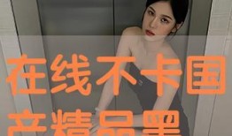 国产精品自拍在线,展现中国风情的视觉盛宴