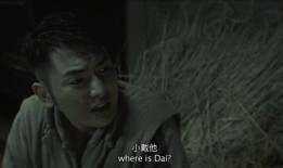 国产电影三级,揭秘中国电影市场的崛起与挑战