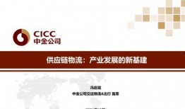 国产29页,揭秘我国科技发展的新篇章