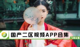 国产公开免费视频,带你领略光影魅力