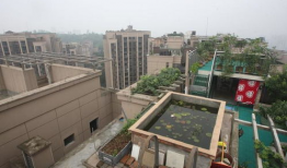 国产乱一区,揭秘国内影视产业的独特魅力与挑战