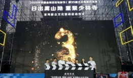 国产乱一区,揭秘国内影视产业的独特魅力与挑战