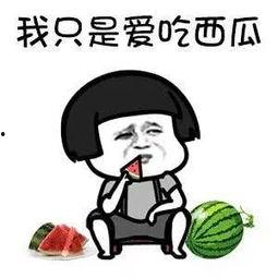 娱乐圈吃瓜动画片有哪些